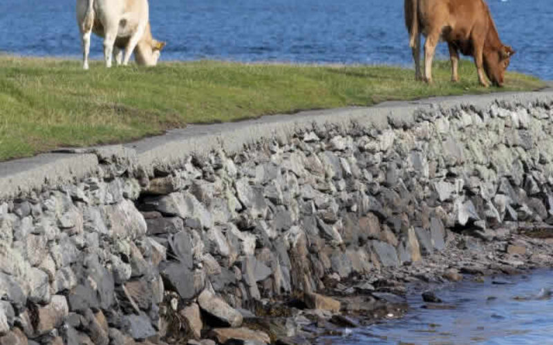 Why Choose Professional Seawall Construction