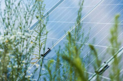 What is a Solar Battery Bank?