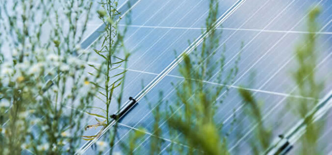 What is a Solar Battery Bank?