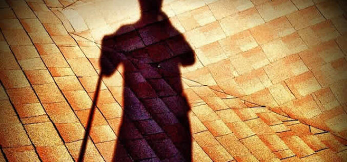 5 Excellent Reasons Why You Need To Clean Your Roofs Regularly