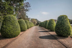 How Can You Make Your Driveway Look Different and Appealing?