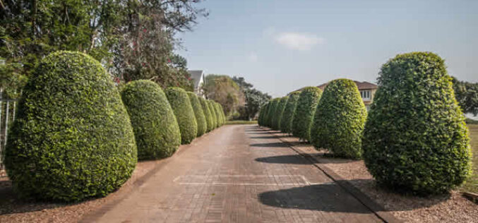 How Can You Make Your Driveway Look Different and Appealing?