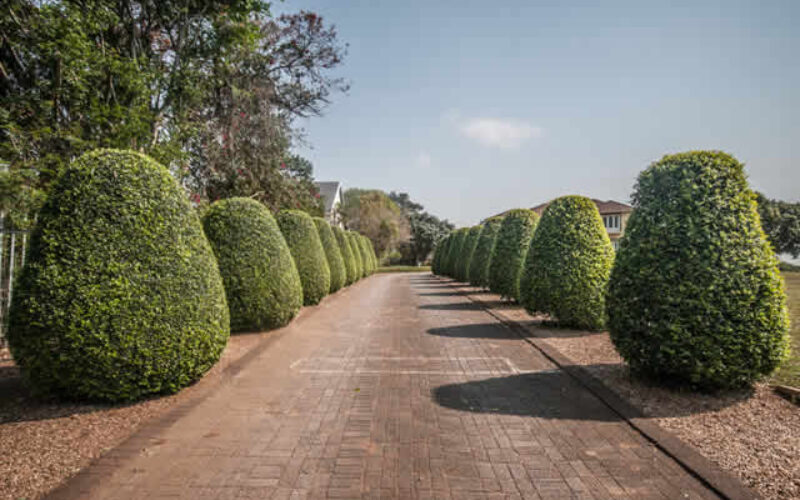 How Can You Make Your Driveway Look Different and Appealing?