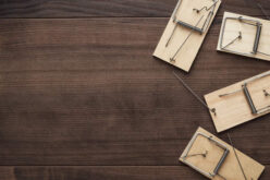 What Are the Benefits of Residential Pest Control?