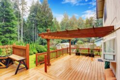 Best Ways To Bring Some Life to Your Yard