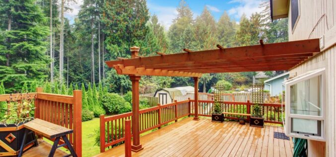 Best Ways To Bring Some Life to Your Yard