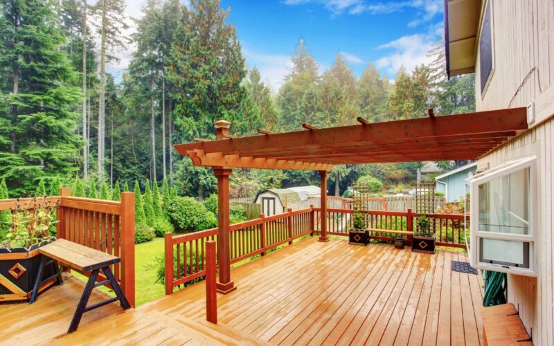 Best Ways To Bring Some Life to Your Yard