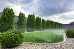 Your Sprinkler System Needs Repair if You Notice These Signs