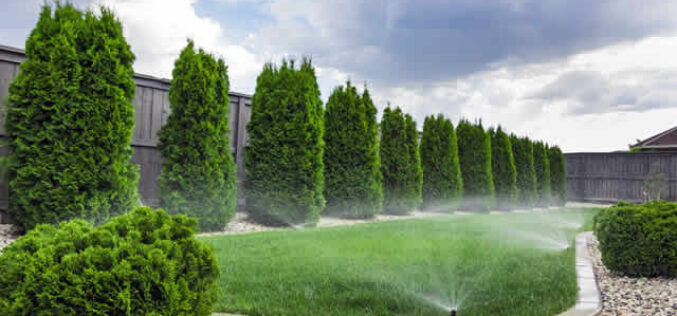 Your Sprinkler System Needs Repair if You Notice These Signs