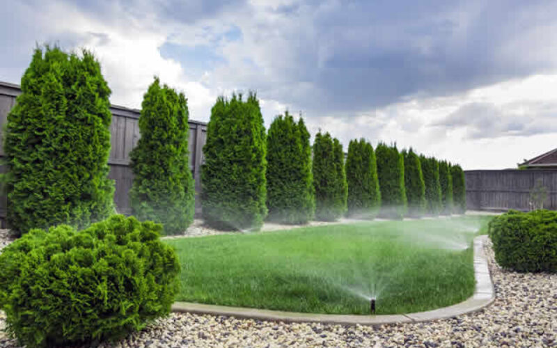 Your Sprinkler System Needs Repair if You Notice These Signs