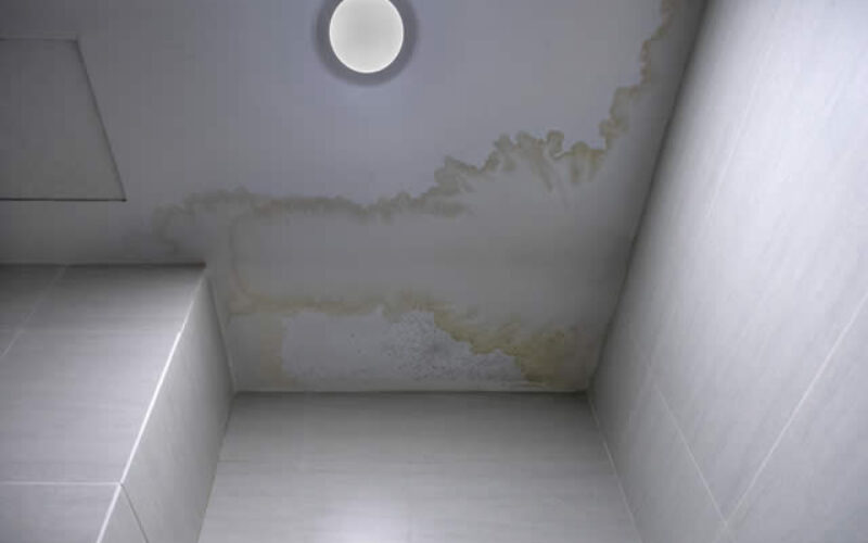 What To Look For In A Water Damage Restoration Services Company