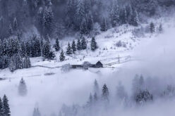 5 Tips for Winterizing Your Home