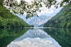 How to Hold Environmental Organizations Accountable