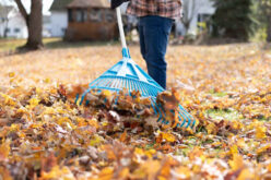 Home Maintenance Tasks to Do Before Fall Comes This Year