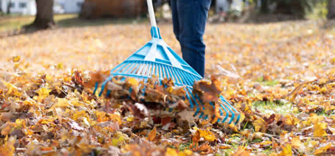 Home Maintenance Tasks to Do Before Fall Comes This Year