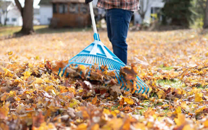 Home Maintenance Tasks to Do Before Fall Comes This Year