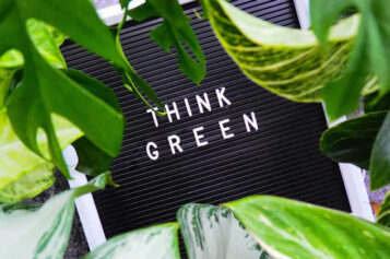 6 Eco-Friendly Upgrades to Consider For Your Home