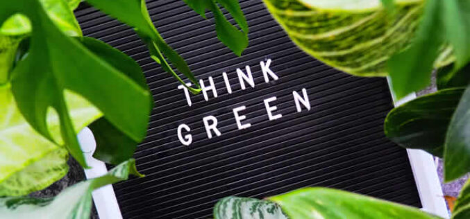 6 Eco-Friendly Upgrades to Consider For Your Home