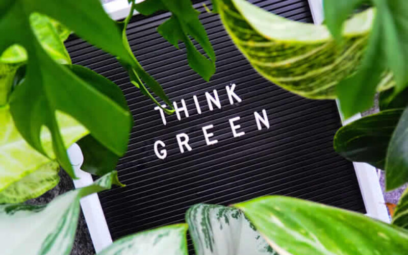 6 Eco-Friendly Upgrades to Consider For Your Home