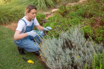 Tips for Removing Large Bushes From Your Yard