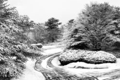 What Every Homeowner Should Know Before Installing A Snow Melting System
