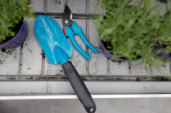 4 Powerful Tips For Outdoor Home Maintenance In Texas