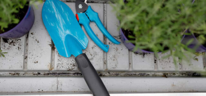 4 Powerful Tips For Outdoor Home Maintenance In Texas