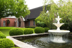 Which Type of Fountain Will be Right for Your Pond?