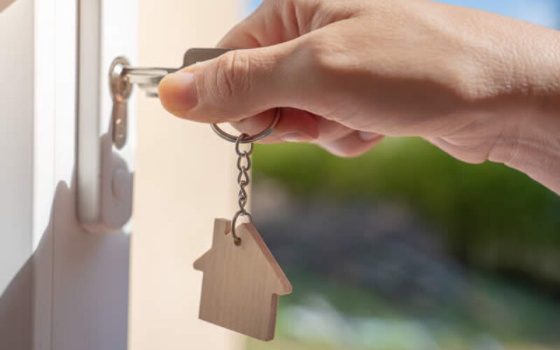 How Can A Property Developer Help You?