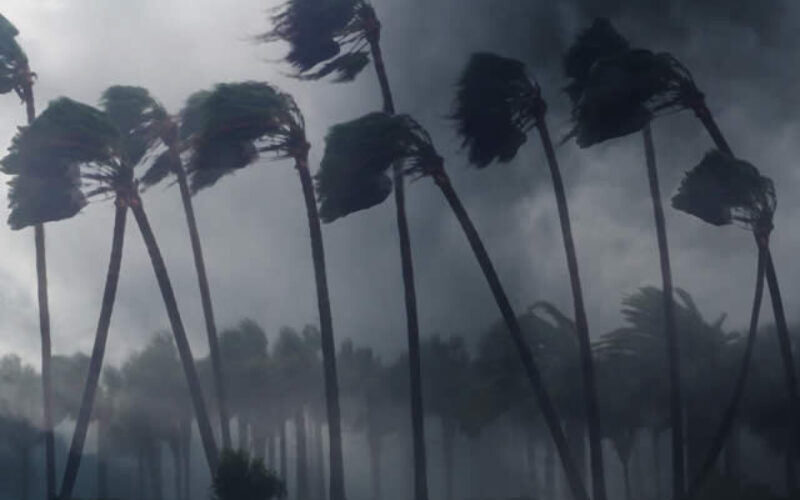 The Most Important Issues To Deal With After a Hurricane