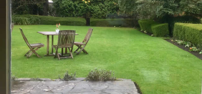 How Can You Transform Your Outdoor Space? Top Tips And Tricks