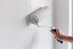 How To Choose the Best Paint Primer for Your Home