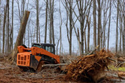The Steps to Clearing Land for a New Home Build