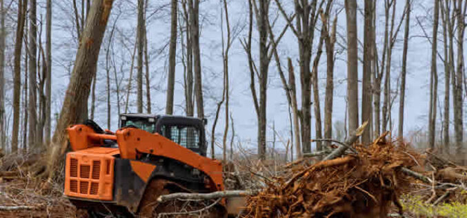 The Steps to Clearing Land for a New Home Build