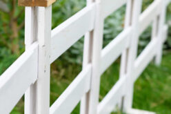Fences Aren’t What They Used To Be (Thank Goodness!)