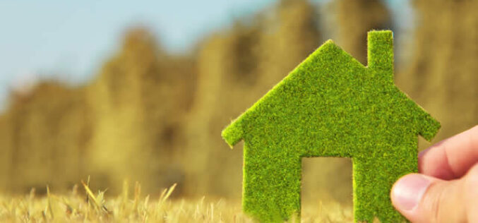 5 Tips For A More Eco-Friendly Home