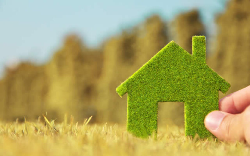 5 Tips For A More Eco-Friendly Home