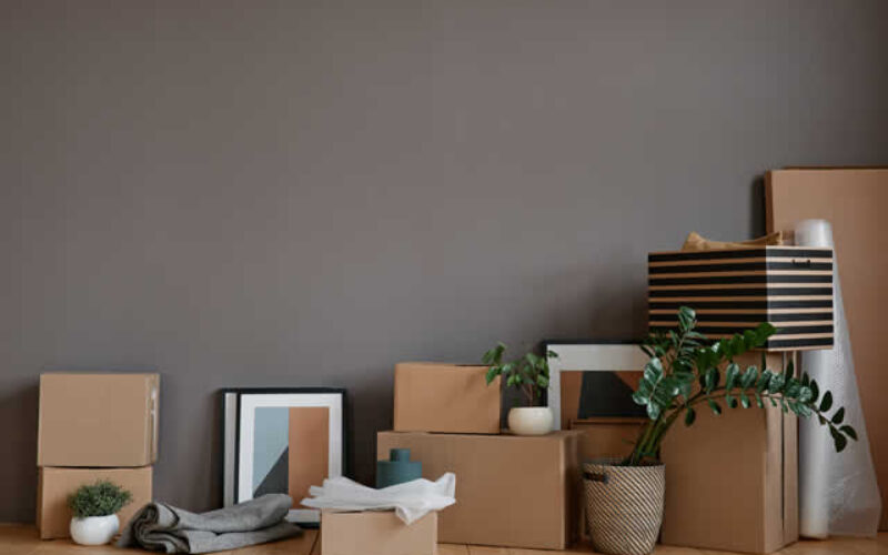 Plan Your Problem-Free Moving With 6 Smart Suggestions