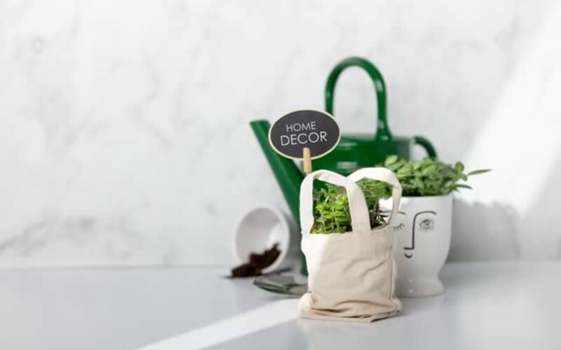Sustainable Decor Tips All Conscious Homes Swear By