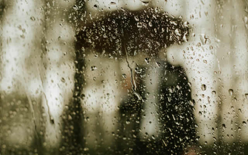 5 Types of Windows to Consider for Your Renovation