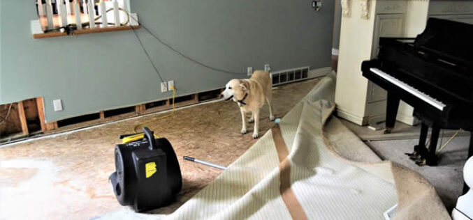First Things to Do When You Need Flood Damage Restoration