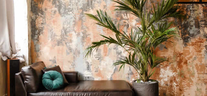 Ways to Add Personality to Your Home