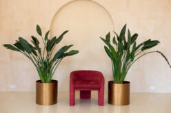 7 Tips to Get an Idea for a Modern Interior Design