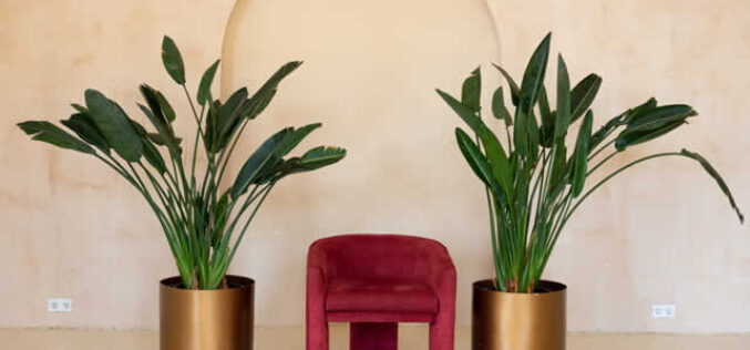 7 Tips to Get an Idea for a Modern Interior Design