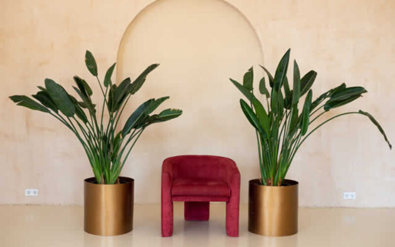7 Tips to Get an Idea for a Modern Interior Design