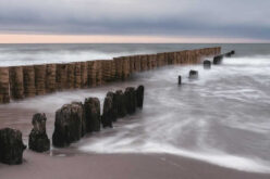 5 Things to Do When in Need of Seawall Construction
