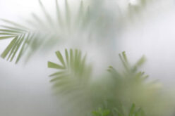 How To Enjoy The Tranquility Of Your Own Garden