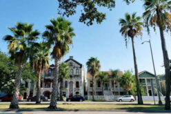 Buying A Green Home In Beverly Hills: Which Are The 4 Major Benefits You Can Reap?