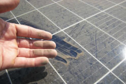 How to Protect Your Solar Panels from Nests and Droppings?