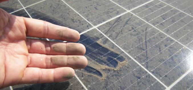How to Protect Your Solar Panels from Nests and Droppings?